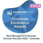 corporate vision award